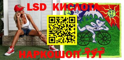 шишки Рыбинск