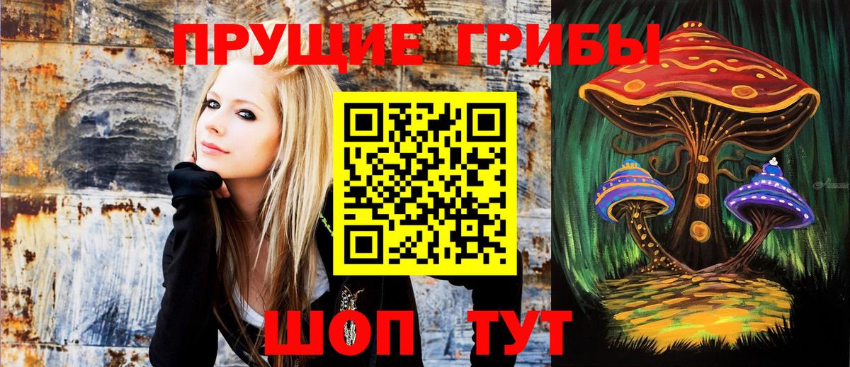 хочу наркоту  Вход с VPN  Симферополь  Галлюциногенные грибы Psilocybine cubensis 