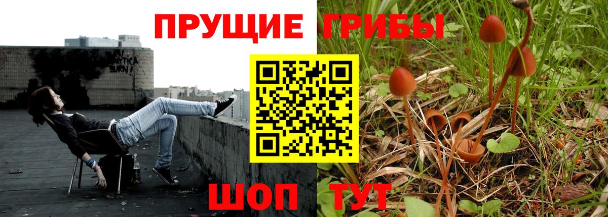 Псилоцибиновые грибы GOLDEN TEACHER Симферополь